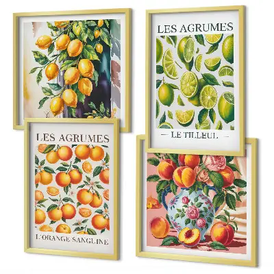 Billedsæt med ramme motiver af friske farverige citrusfrugter