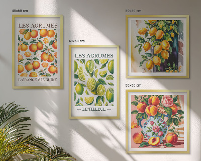 Billedsæt med ramme Friske farverige citrusfrugter