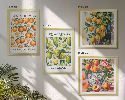 Billedsæt med ramme motiver af friske farverige citrusfrugter