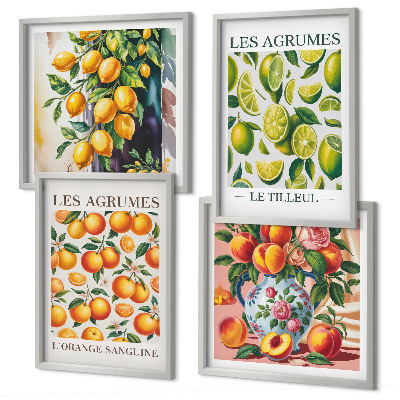 Billedsæt med ramme Friske farverige citrusfrugter