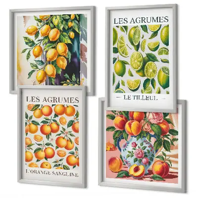 Billedsæt med ramme motiver af friske farverige citrusfrugter