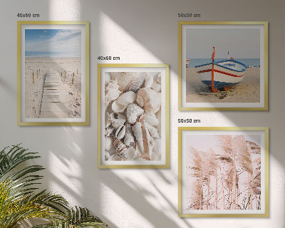 Billedvæg over sofa Strandbådsskaller græs boho