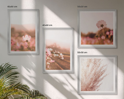 Billedsæt med ramme Vilde blomster på engene om sommeren