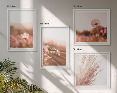 Billedsæt med ramme Vilde blomster på engene om sommeren