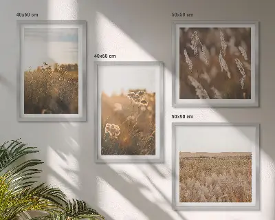 Billedvæg med sommerenge motiver af blomster i solnedgang over sofa
