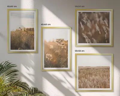 Billedvæg med sommerenge motiver af blomster i solnedgang over sofa