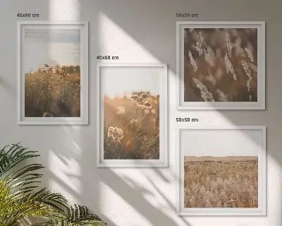 Billedvæg med sommerenge motiver af blomster i solnedgang over sofa