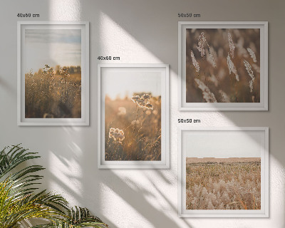 Billedvæg over sofa Sommerenge blomster solnedgang