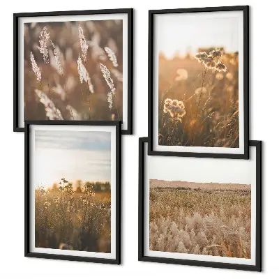 Billedvæg med sommerenge motiver af blomster i solnedgang over sofa