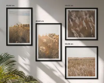 Billedvæg med sommerenge motiver af blomster i solnedgang over sofa