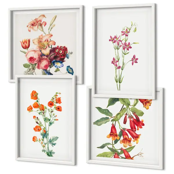 Blomstermaleri i retrostil billedsæt med ramme