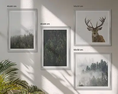 Billedsæt med ramme med motiv af grønne skove i et tåget landskab