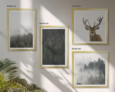 Billedsæt med ramme med motiv af grønne skove i et tåget landskab