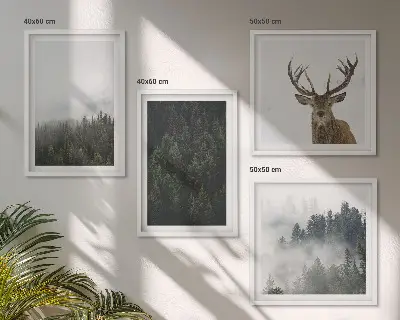 Billedsæt med ramme med motiv af grønne skove i et tåget landskab