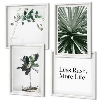 Billedvæg over sofa Grønne planter minimalisme