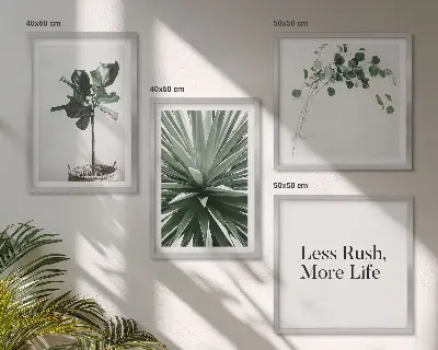 Billedvæg over sofa med grønne planter i minimalisme
