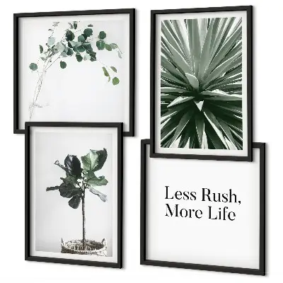 Billedvæg over sofa med grønne planter i minimalisme