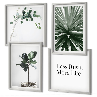 Billedvæg over sofa Grønne planter minimalisme