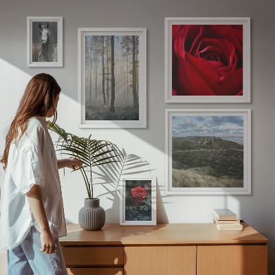 Billedkomposition til væg Naturblomster i forskellige stilarter