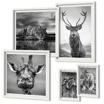 Plakat med naturmotiv sort-hvide dyr