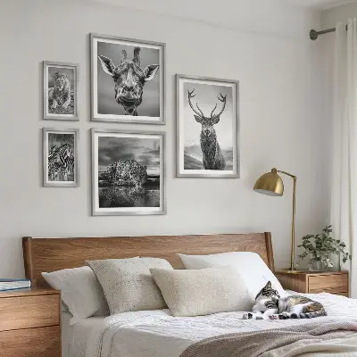 Plakat med naturmotiv sort-hvide dyr