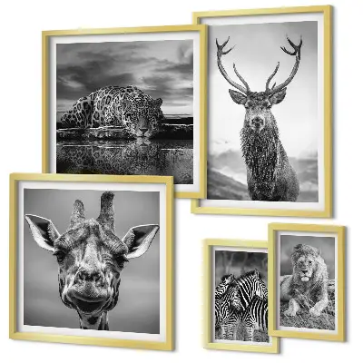 Plakat med naturmotiv sort-hvide dyr