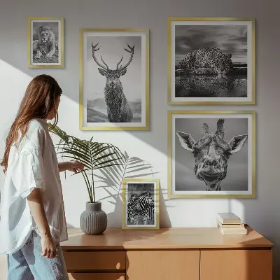Plakat med naturmotiv sort-hvide dyr