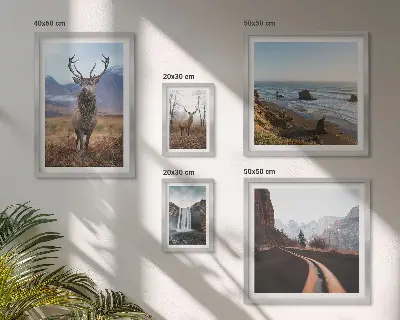 Billedkomposition til væg med natur, vilde dyr og landskaber