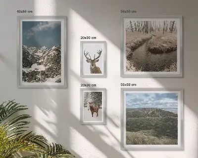 Billedsæt over sofa med motiv af vild natur og majestætiske bjerge