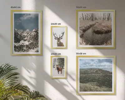 Billedsæt over sofa med motiv af vild natur og majestætiske bjerge