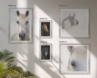 Hesteportrætter i kunstneriske stilarter billedsæt til ophængning over sofa