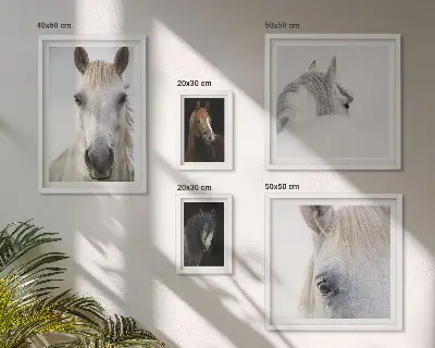 Hesteportrætter i kunstneriske stilarter billedsæt til ophængning over sofa