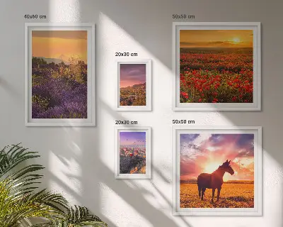 Billedsæt over sofa med motiv af landskaber med naturheste og blomster