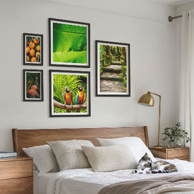 Billedsæt over sofa Tropiske naturfrugtmotiver