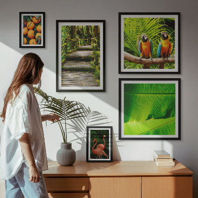 Billedsæt over sofa Tropiske naturfrugtmotiver