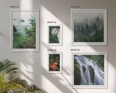 Billedkomposition til væg med natur, vilde dyr og landskaber