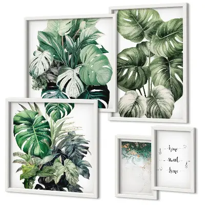 Billedsæt over sofa med moderne planteinspirationer