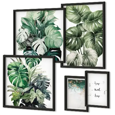 Billedsæt over sofa med moderne planteinspirationer