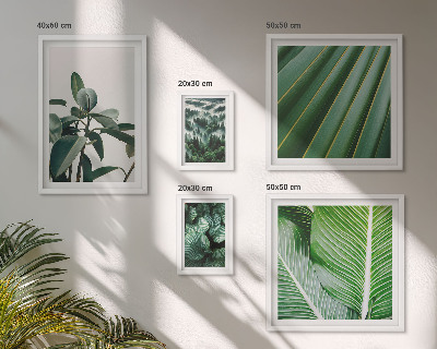 Billedkomposition til væg Inspirationer til tropiske planter