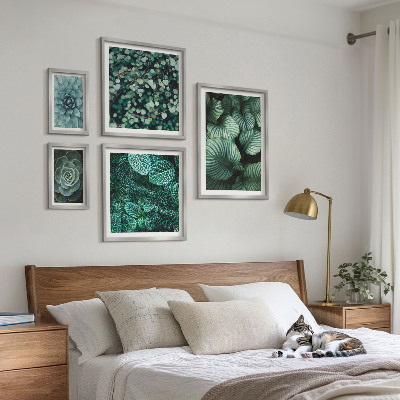 Billedsæt over sofa Planteblade sukkulenter natur