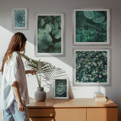 Billedsæt over sofa Planteblade sukkulenter natur