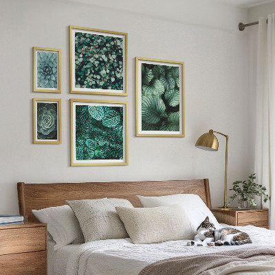 Billedsæt over sofa Planteblade sukkulenter natur