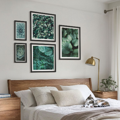 Billedsæt over sofa Planteblade sukkulenter natur