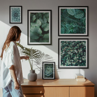Billedsæt over sofa Planteblade sukkulenter natur