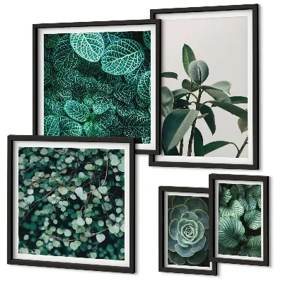 Plakatsæt med plantemotiver grønne blade til ophæng over sofa
