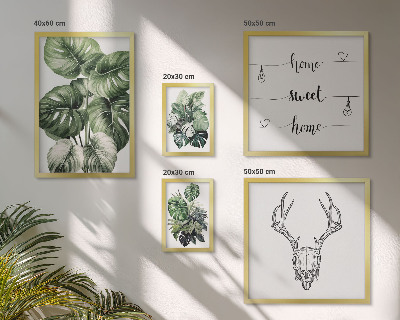Billedsæt over sofa Plantemotiver med naturhjem