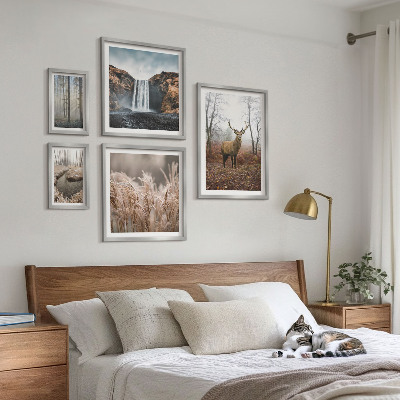 Billedsæt over sofa Dyrelivslandskaber