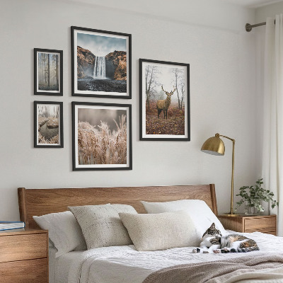 Billedsæt over sofa Dyrelivslandskaber