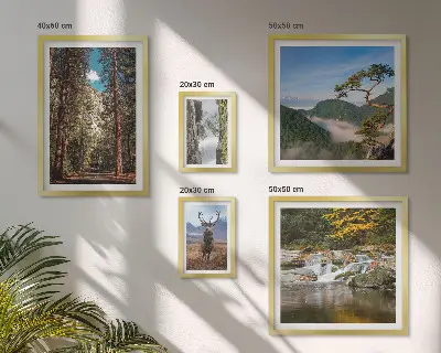 Billedkomposition til væg med bjerglandskaber og vild natur