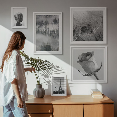 Billedsæt over sofa Sort og hvid naturby